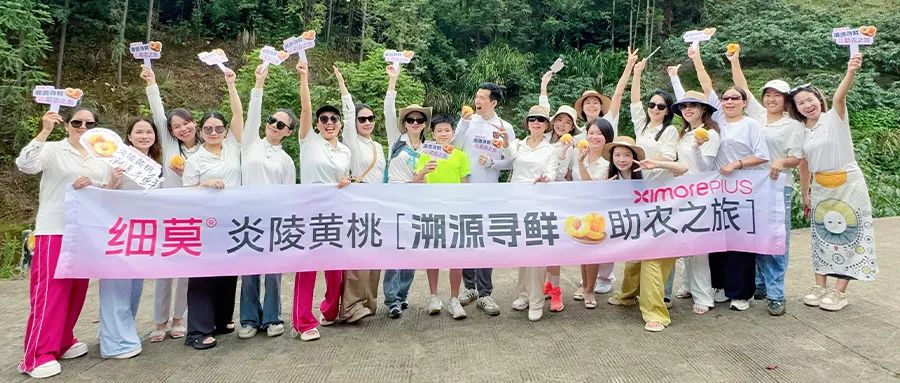细莫公益 爱心助农 ▏炎陵黄桃溯源寻鲜助农之旅